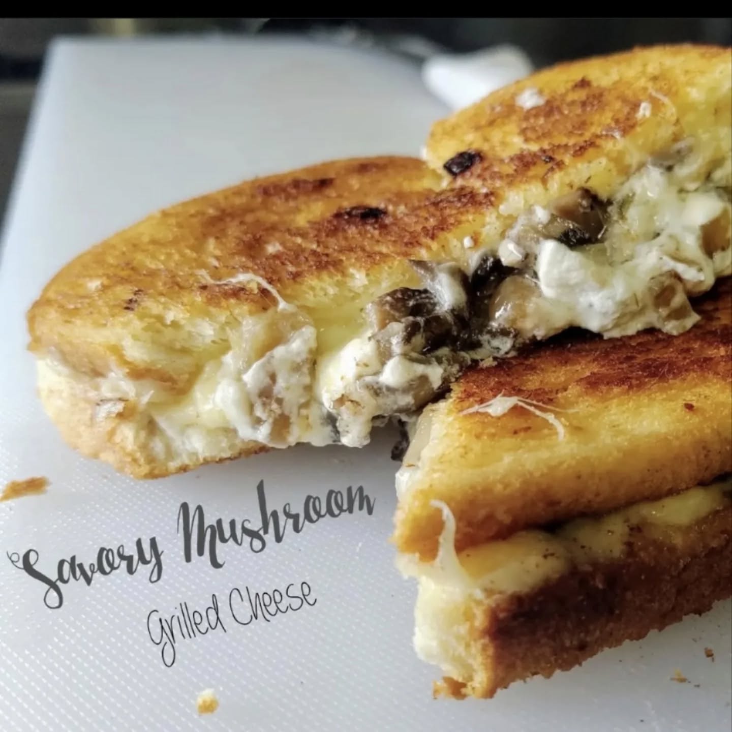 Underdog Cheese 4